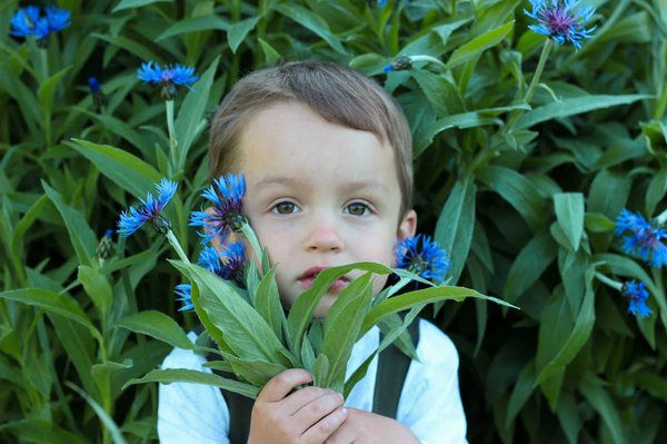 How do you replace a clutch in a front-wheel-drive car without professional tools in the UK?